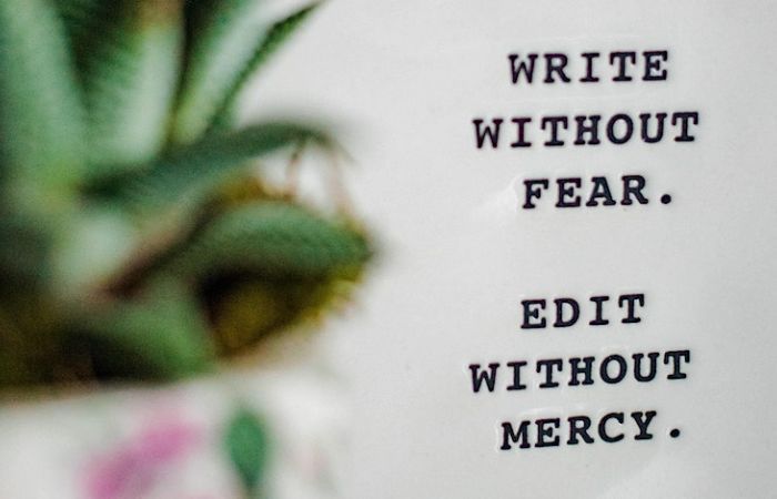 Hazy pot plant & text: write without fear, edit without mercy